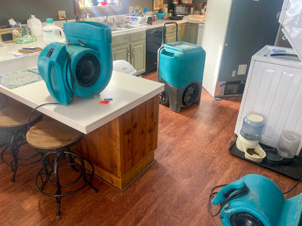 Best Water damage restoration cost  in Kiln, MS