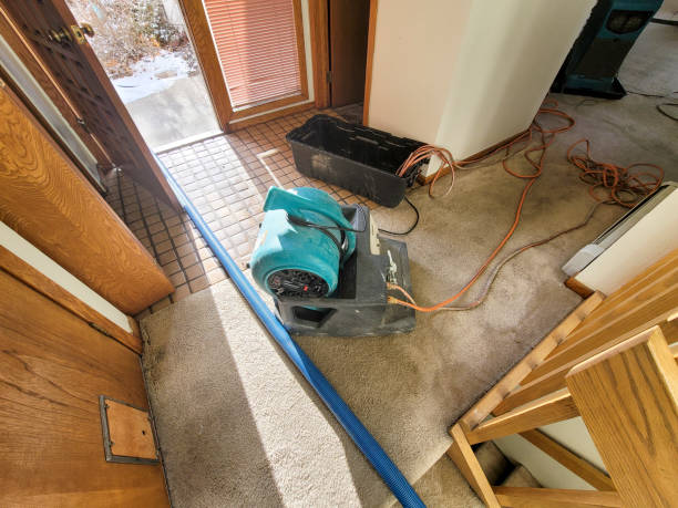 Best Fire Damage Restoration  in Kiln, MS