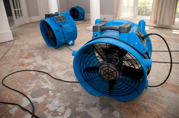 Best Flooded house restoration  in Kiln, MS