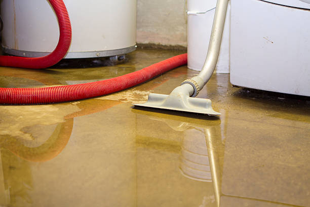Best Water damage contractors near me  in Kiln, MS