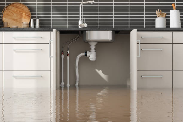 Best Water damage cleanup near me  in Kiln, MS
